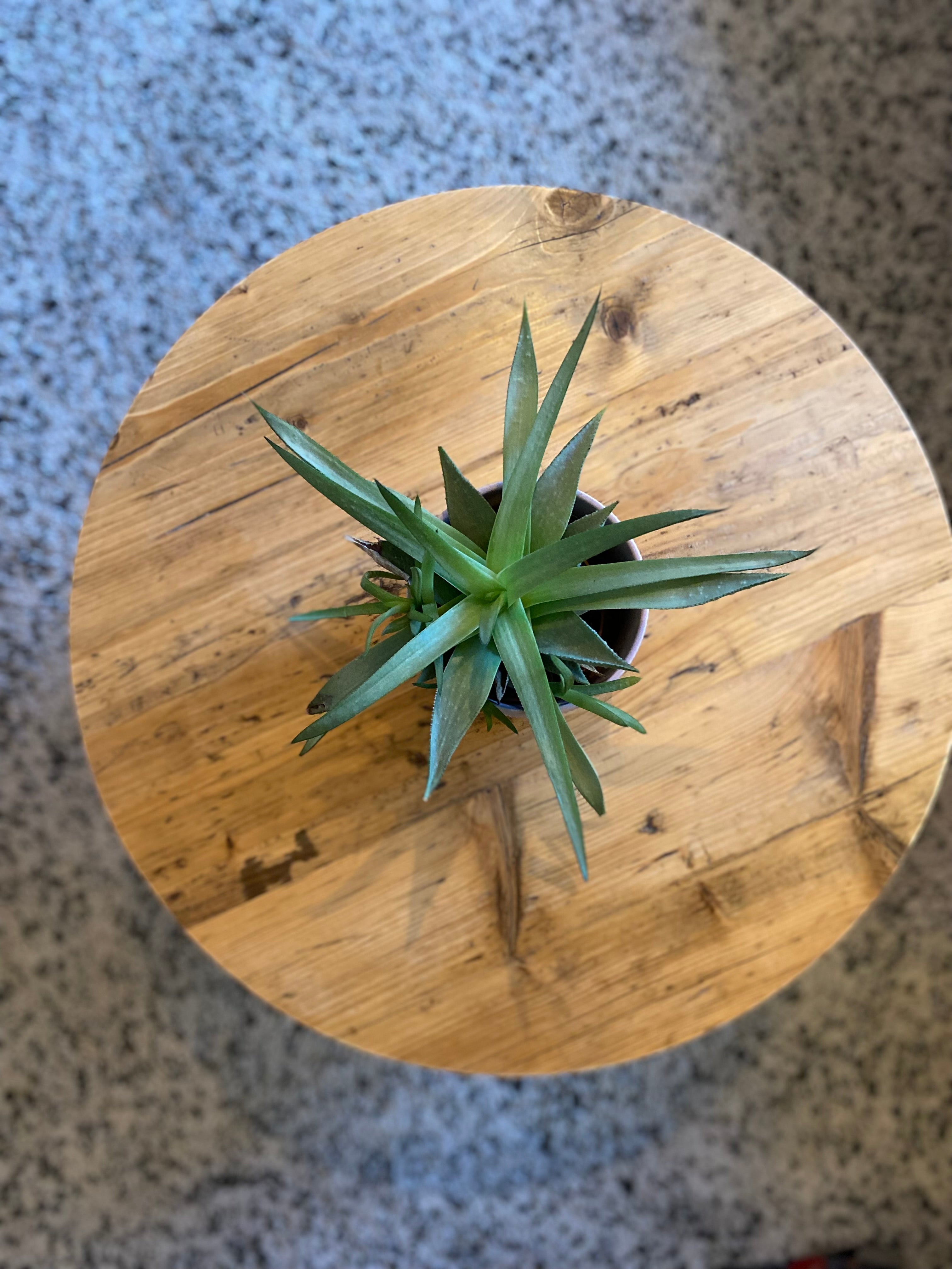 Round wooden coffee Table - The &